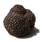 ترافل