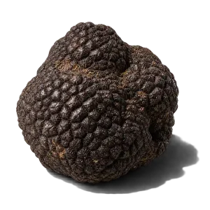 نت ترافل (Truffle)، رایحه چوبی عطر