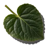 برگ بنفشه