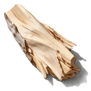 نت چوب‌های سفید (White Woods)، رایحه چوبی عطر