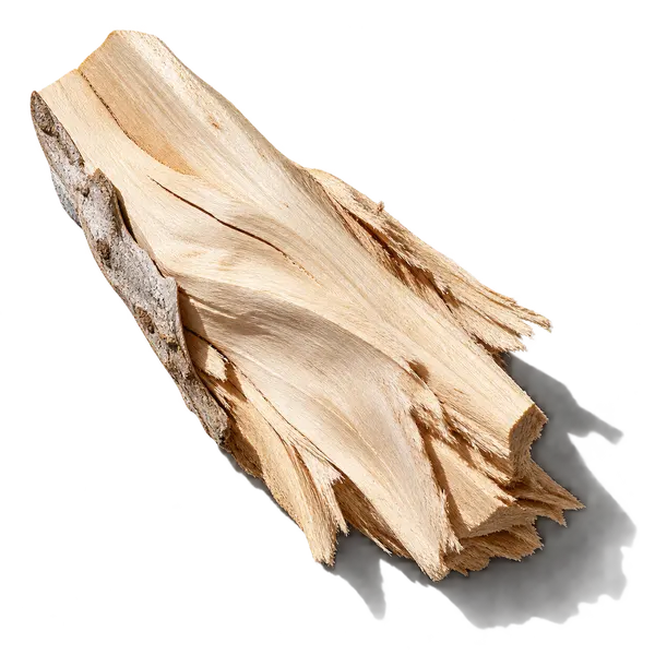 نت چوب‌های سفید (White Woods)، رایحه چوبی عطر