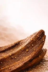 چوبی